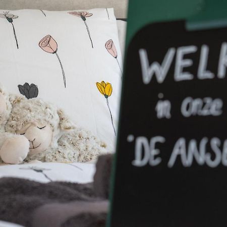 De Anselier Bed & Breakfast Ansen Exterior foto