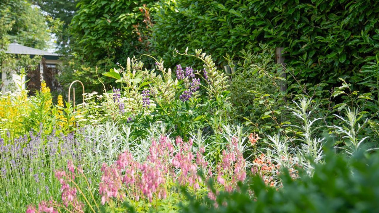 De Anselier Bed & Breakfast Ansen Exterior foto