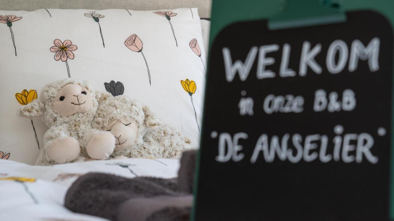 De Anselier Bed & Breakfast Ansen Exterior foto